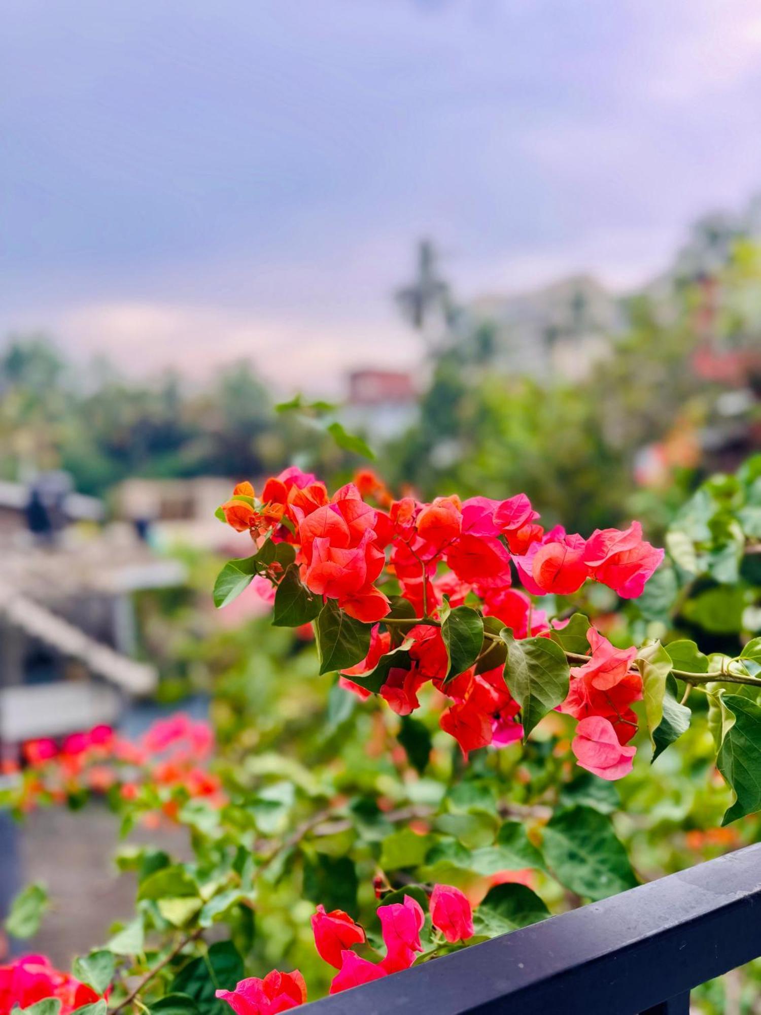 Aluthgedara Guest House Унаватуна Экстерьер фото